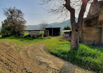 09 RIPATRASONE-CASA INDIPENDENTE CON 12 ETTARI DI - Casa indipendente Ripatransone - foto 10