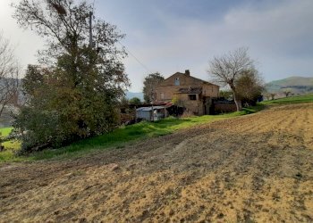 08 RIPATRASONE-CASA INDIPENDENTE CON 12 ETTARI DI - Casa indipendente Ripatransone - foto 11