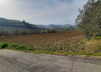 02 RIPATRASONE-CASA INDIPENDENTE CON 12 ETTARI DI - Casa indipendente Ripatransone - foto 12