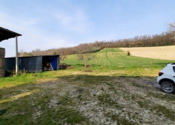 03 RIPATRASONE-CASA INDIPENDENTE CON 12 ETTARI DI - Casa indipendente Ripatransone - foto 13