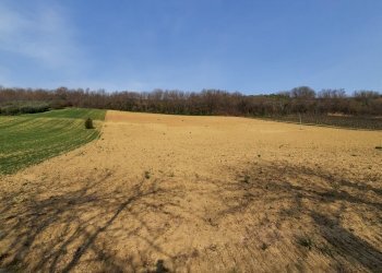 05 RIPATRASONE-CASA INDIPENDENTE CON 12 ETTARI DI - Casa indipendente Ripatransone - foto 28