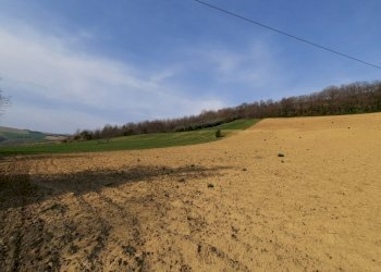 07 RIPATRASONE-CASA INDIPENDENTE CON 12 ETTARI DI - Casa indipendente Ripatransone - foto 29