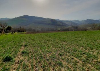 10 RIPATRASONE-CASA INDIPENDENTE CON 12 ETTARI DI - Casa indipendente Ripatransone - foto 30