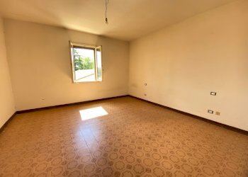 IMG_1899.jpg - Independent house via dozza 39, Castel Guelfo di Bologna - photo 3