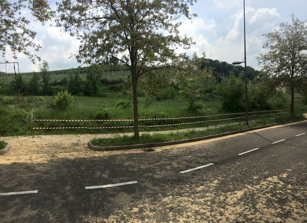 Terreno edificabile Borgo Tossignano - foto 2