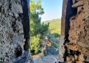 thumbnail_20220824_094423.jpg - Rustic Via Borgo di Sopra Giucano, Fosdinovo - photo 9