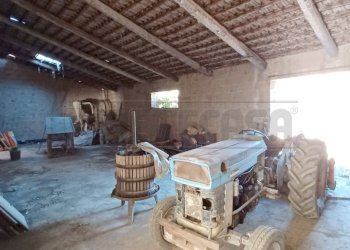 WhatsApp Image 2022-09-22 at 12.59.20 (9).jpeg - Laboratorio Via montella, Maddaloni - foto 16