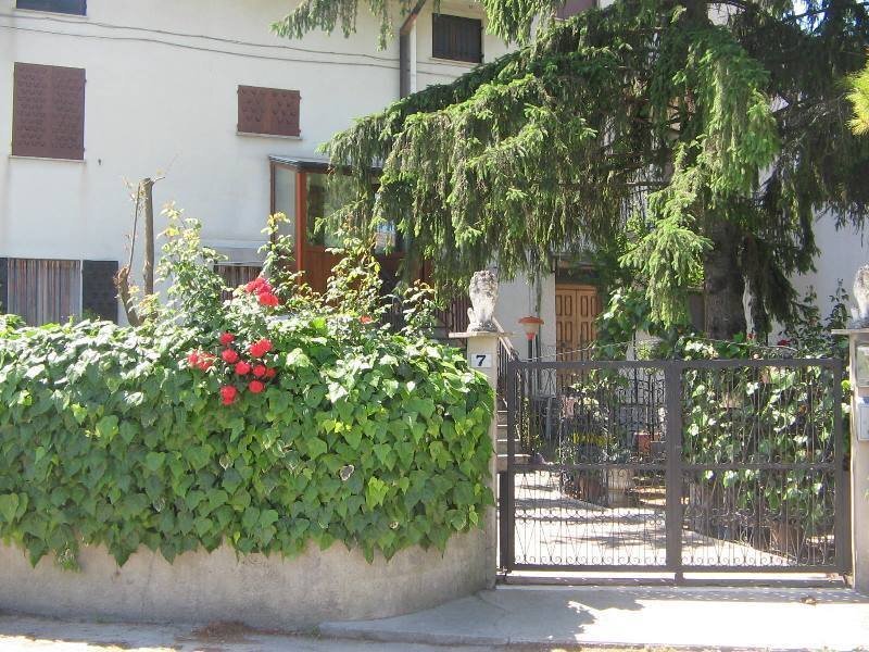 IMG_3414.JPG - Appartamento Orsogna - foto 1