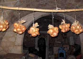 C 013.jpg - Casa Colonica Rapino - foto 4