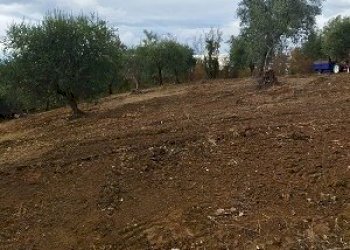 IMG-20240102-WA0004.jpg - Terreno edificabile Filetto - foto 4