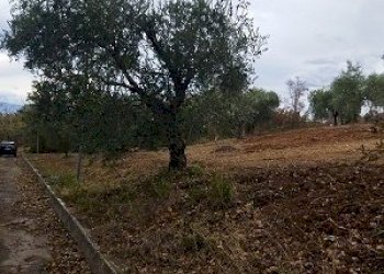 IMG-20240102-WA0005.jpg - Terreno edificabile Filetto - foto 5