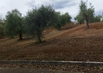 IMG-20240102-WA0006.jpg - Terreno edificabile Filetto - foto 6