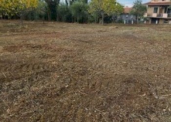 IMG-20240102-WA0009.jpg - Terreno edificabile Filetto - foto 8