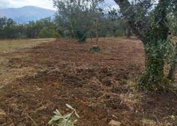 IMG-20240102-WA0010.jpg - Terreno edificabile Filetto - foto 9