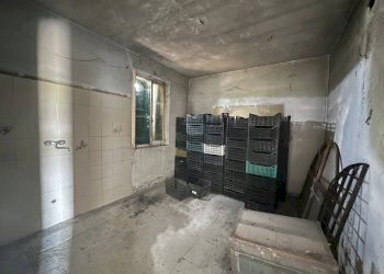 IMG_3435.JPG - Rustico Via Madonna 14, Camposanto - foto 10