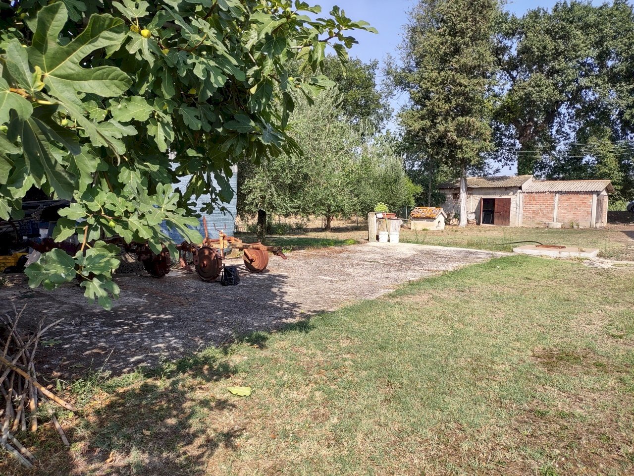 IMG_20220827_101512537_HDR (002).jpg - Independent house Via Ponte Pio 31, Jesi - photo 1