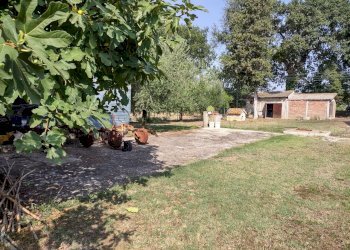 IMG_20220827_101512537_HDR (002).jpg - Casa indipendente Via Ponte Pio 31, Jesi - foto 1