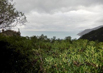 DSCN7690.JPG - Villa Località Salice, Bonassola - foto 3