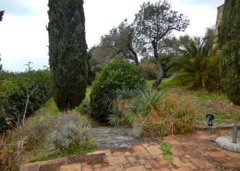 DSCN7693.JPG - Villa Località Salice, Bonassola - foto 5