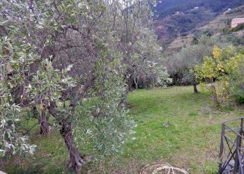 DSCN7722.JPG - Villa Località Salice, Bonassola - foto 23