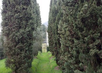 Elegante villa ottocentesca 7km da Lucca (12).JPG - Villa via di montecatino, Lucca - foto 4