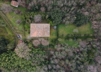 Elegante villa ottocentesca 7km da Lucca (16).JPG - Villa via di montecatino, Lucca - foto 5