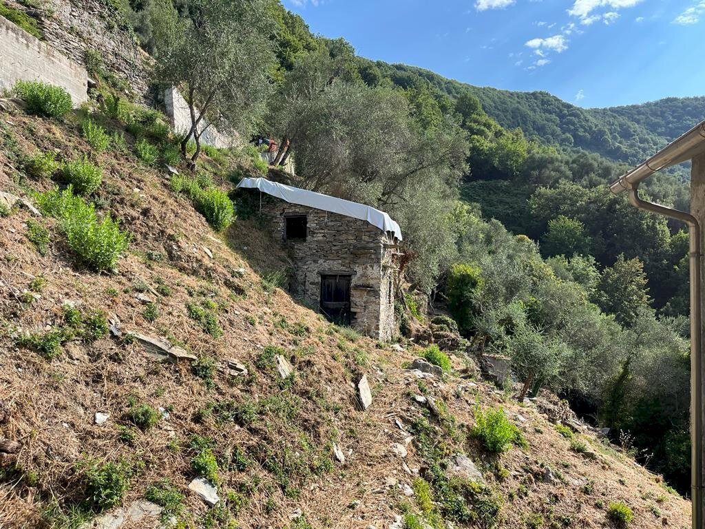 WhatsApp Image 2022-07-28 at 17.16.41 (2).jpeg - Terratetto - Terracielo Via Colla 8, Carasco - foto 2