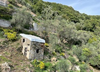 WhatsApp Image 2022-10-04 at 17.00.09.jpeg - Terratetto - Terracielo Via Colla 8, Carasco - foto 10