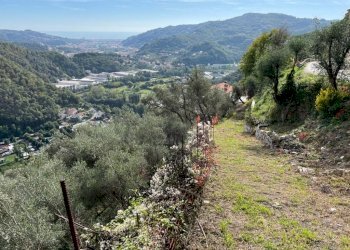 WhatsApp Image 2022-10-04 at 17.02.09 (1).jpeg - Terratetto - Terracielo Via Colla 8, Carasco - foto 11