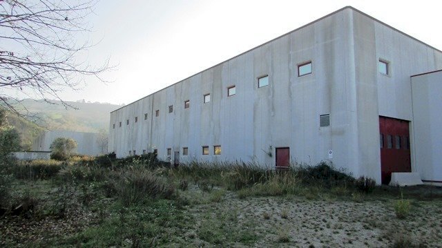 dileoimmobiliare capannone (5).JPG - Capannone Colonnella - foto 1