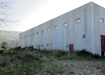 dileoimmobiliare capannone (5).JPG - Capannone Colonnella - foto 1