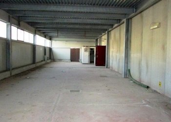 dileoimmobiliare capannone (1).JPG - Capannone Colonnella - foto 14