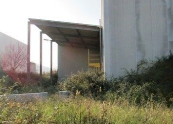 dileoimmobiliare capannone (2).JPG - Capannone Colonnella - foto 15