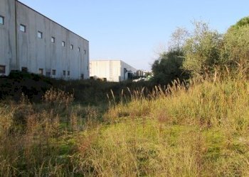 dileoimmobiliare capannone (4).JPG - Capannone Colonnella - foto 17