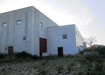 dileoimmobiliare capannone (6).JPG - Capannone Colonnella - foto 18