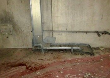 dileoimmobiliare capannone (18).JPG - Capannone Colonnella - foto 29