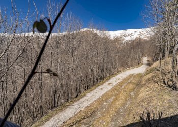 Panorama - Baita Frazione Morinesio, Snc, Stroppo - foto 30