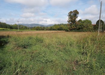 Terreno edificabile strada passatempo, Cambiano - foto 2