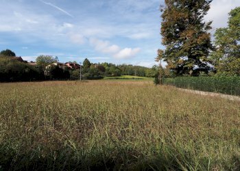 Terreno edificabile strada passatempo, Cambiano - foto 5