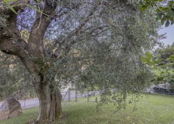 Independent house Località Casermette 4, Ventimiglia - photo 7