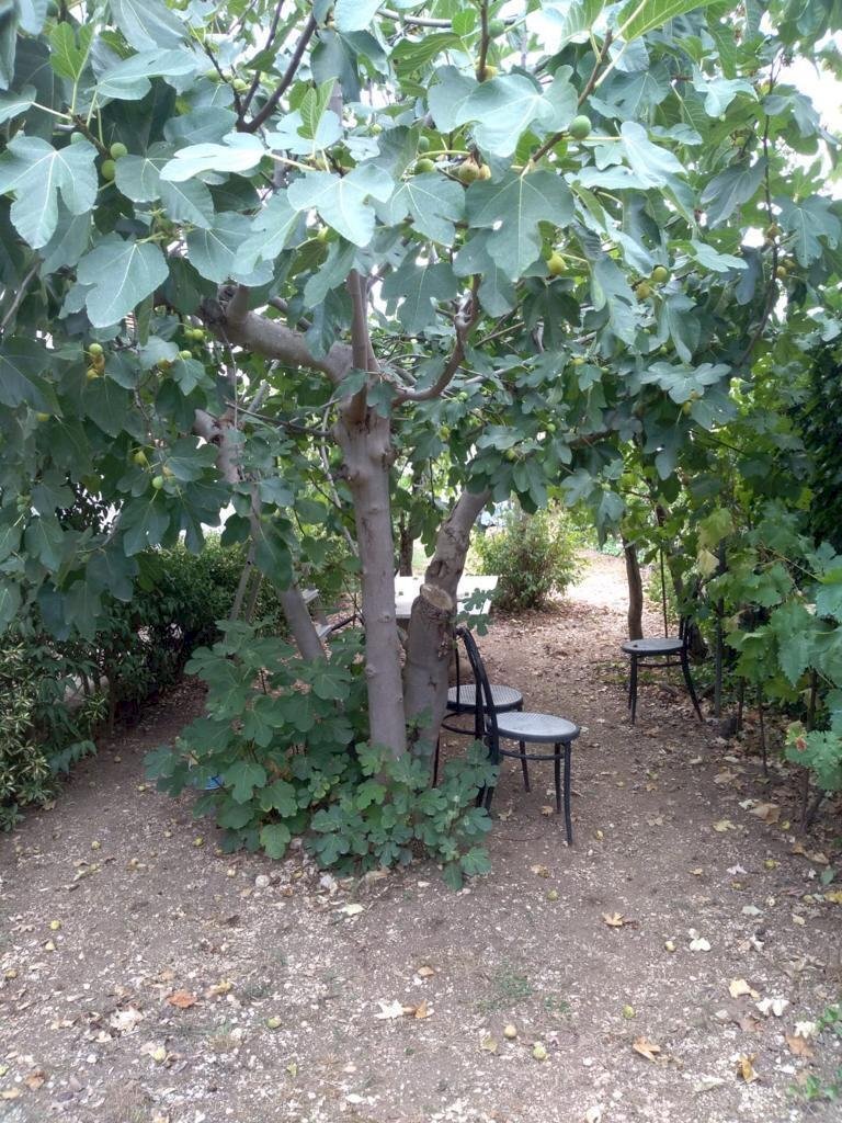 WhatsApp Image 2022-09-27 at 18.16.27(2).jpeg - Villa VIA CASELUPI 36, Sulmona - photo 2