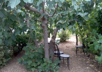 WhatsApp Image 2022-09-27 at 18.16.27(2).jpeg - Villa VIA CASELUPI 36, Sulmona - foto 2