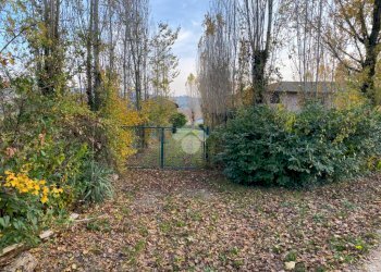 Terreno agricolo Via Pila Cipolla, Imola - foto 6