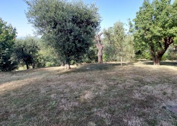 20220613_171807.jpg - Casa indipendente Livorno - foto 19