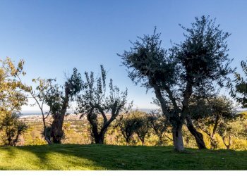 ft8.jpg - Casa indipendente Livorno - foto 24