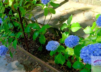 Rif 1196 (9).jpg - Villa Via Vassuria 34, Urbe - foto 8