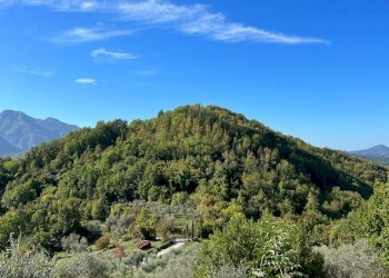 IMG-20221004-WA0001.jpg - Rustico Casola in Lunigiana - foto 7