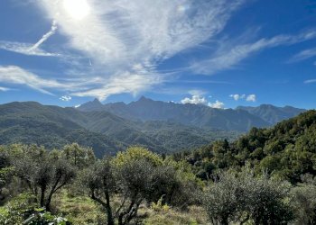 IMG-20221004-WA0003.jpg - Rustico Casola in Lunigiana - foto 8