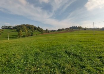 podere Montecorone Zocca Immobiliare227 (21) (FILE - Rustic Via Braglie 500, Zocca - photo 28