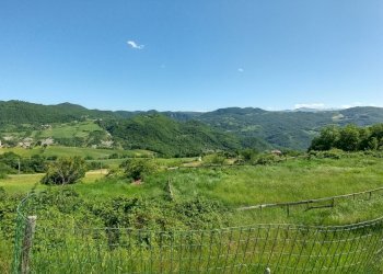 rosola  (2).jpg - Rustic Zocca - photo 4